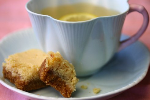 Lime-lemon bars (barras di limón)