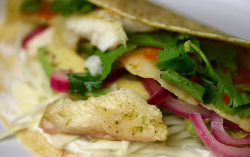 Fish tacos
