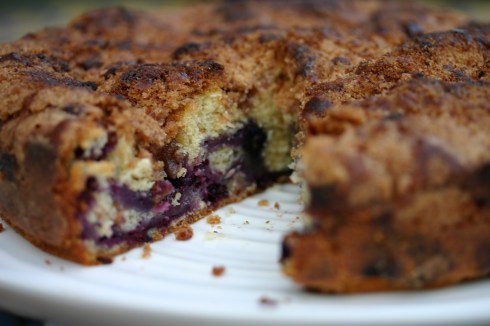 Blueberry crumb cake