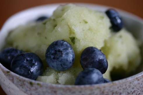 Lime and Thai basil sorbet