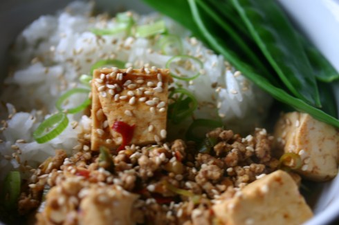 Mapo tofu