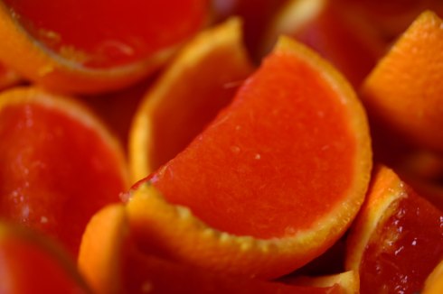 bloodsucking-jellies