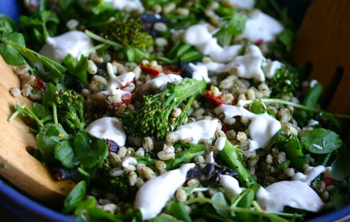 Barley salad with broccoli and zahatar