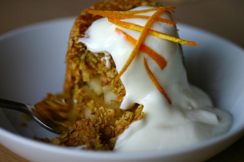 Oat fruit puddings
