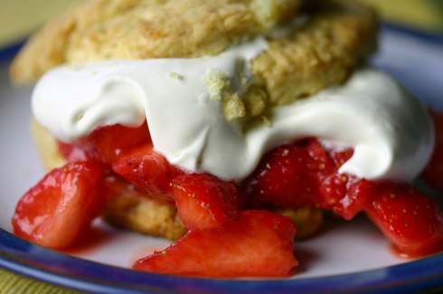 Strawberry shortcake