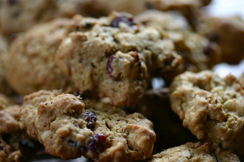 cranberry-white-chocolate-biscuits