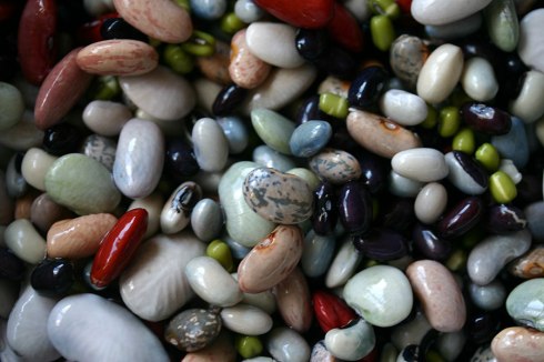 Ten bean mix