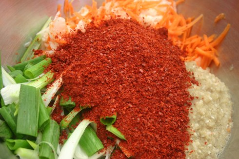 kimchi1