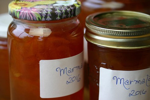 Marmalade