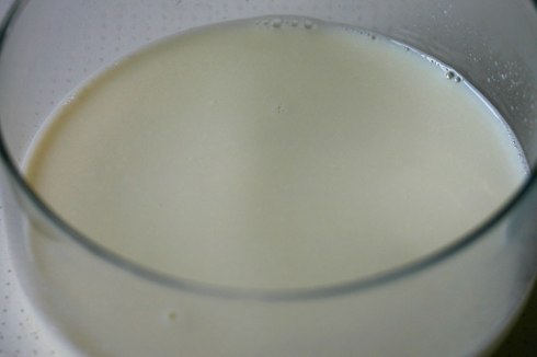 Sourdough starter – Day 1