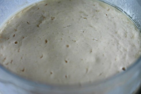 Sourdough starter– Day 3