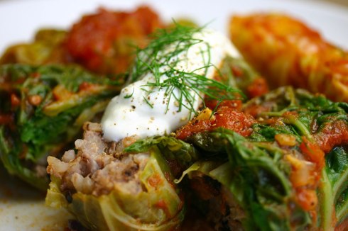 Cabbage rolls