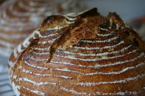 Sourdough bread cooling