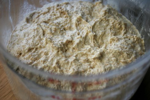 Sourdough – just mixed
