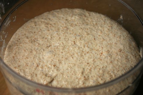 Sourdough – starting to rise