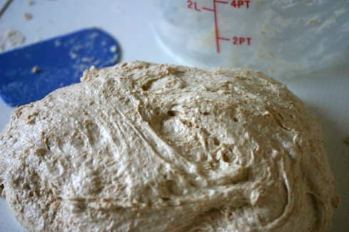 sourdough – ready to stretch and knead