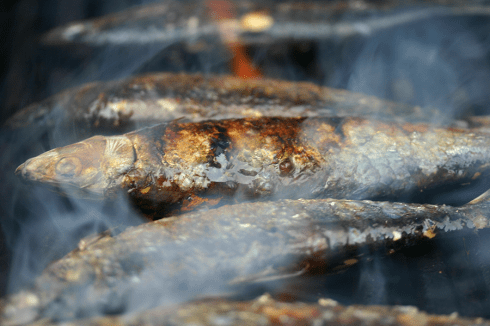 Grilled sardines