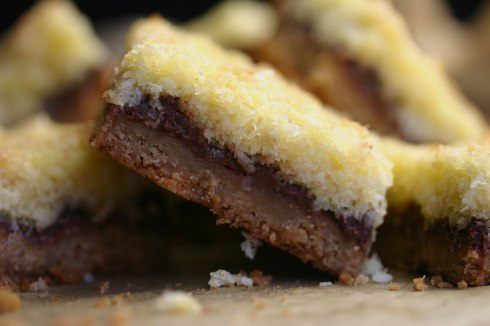 coconut-nutella-squares