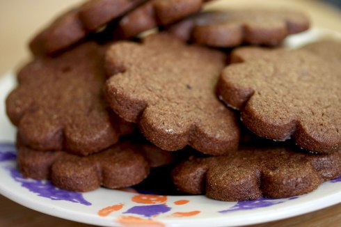 Chocolate sugar cookies