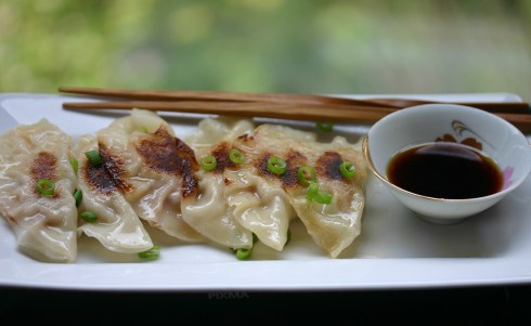 pork and cabbage gyoza